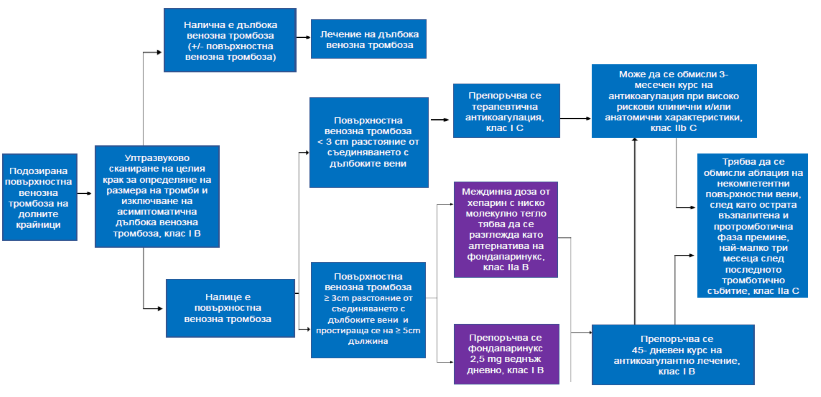 #Фигура 14.Схема с препоръки за лечение на остра повърхностна венозна тромбоза на долни крайници